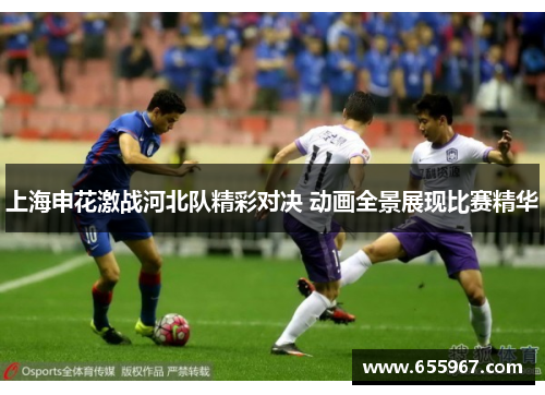 上海申花激战河北队精彩对决 动画全景展现比赛精华