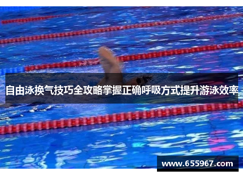 自由泳换气技巧全攻略掌握正确呼吸方式提升游泳效率