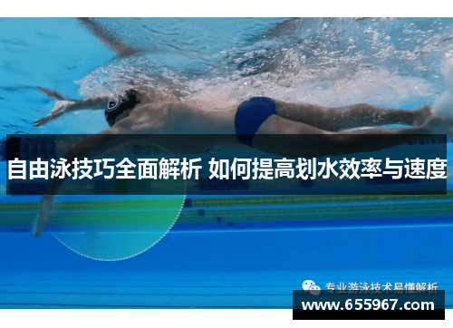 自由泳技巧全面解析 如何提高划水效率与速度
