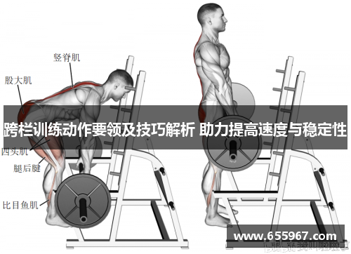 跨栏训练动作要领及技巧解析 助力提高速度与稳定性