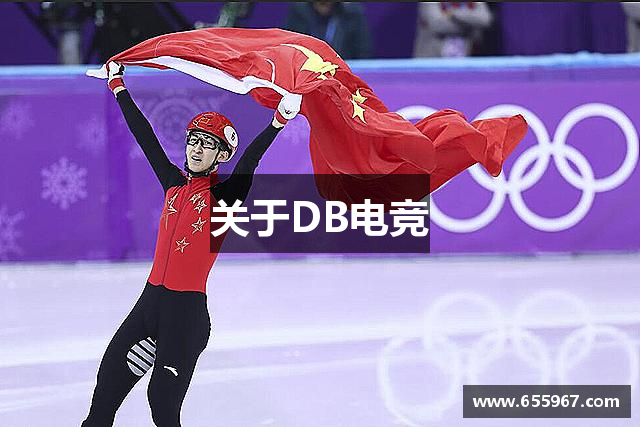 关于DB电竞